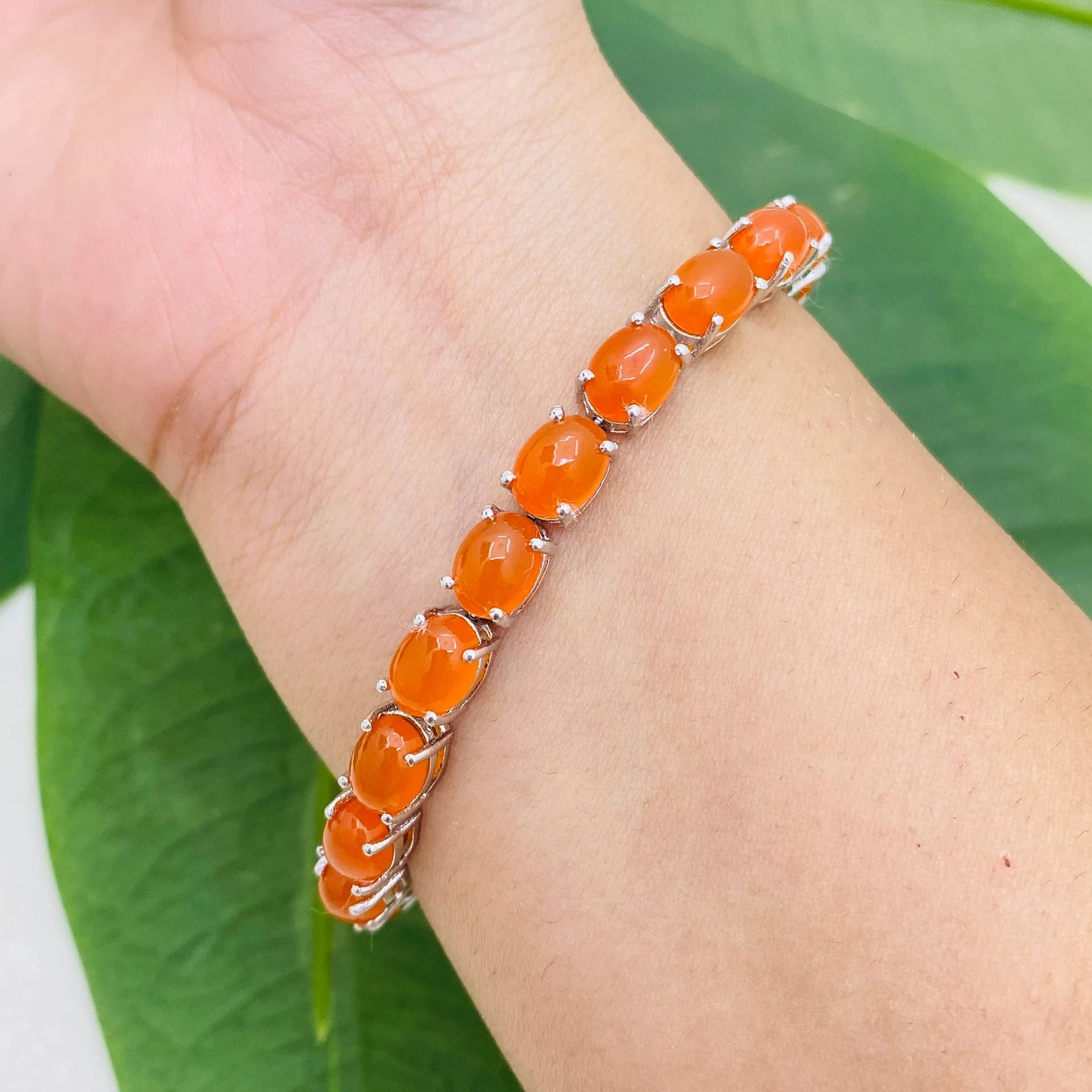 WhatsApp Image 2025-11-13 at 22.31.39